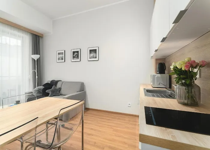 Comfortable By The 公寓 *